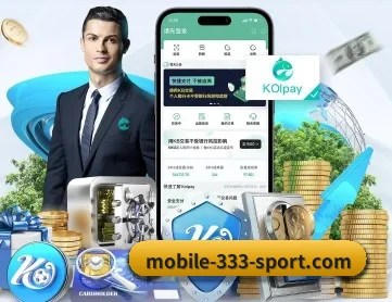 333体育 APP 深度功能